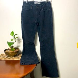 Joes brand, corduroy, dark blue, 29 waist, wide
